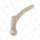 Deer Antlers